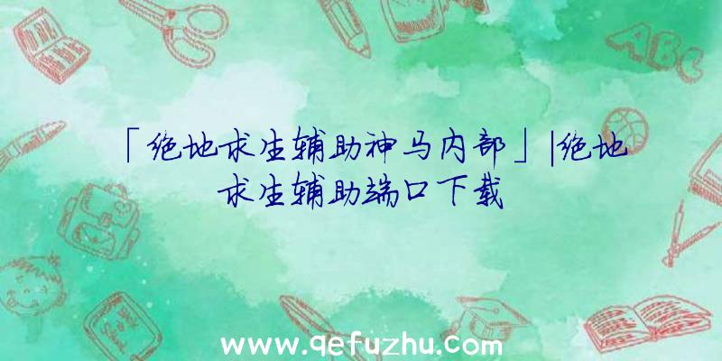 「绝地求生辅助神马内部」|绝地求生辅助端口下载